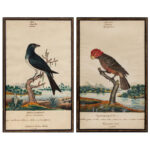 1245-40_1a_Watercolors,-Pair,-Birds,-Wm-Goodall_entire