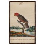 1245-40_3_Watercolors,-Pair,-Birds,-Wm-Goodall_entire