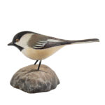 1302-13_1_Jess-Blackstone-Chickadee,-1862