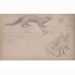 1292-28_17_Pr Sketchbooks, Chas Copeland.jpg.jpg